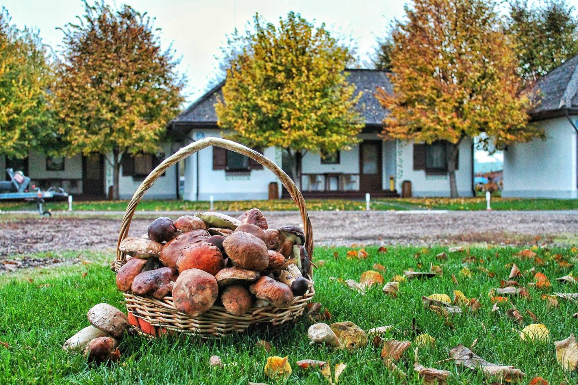 Bereg Holiday Park Svetlogorskoye 外观 照片