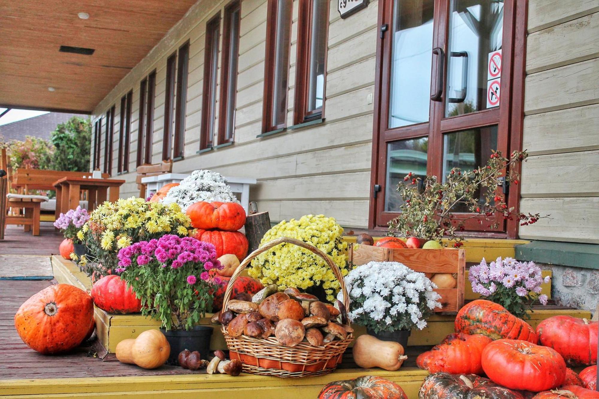 Bereg Holiday Park Svetlogorskoye 外观 照片