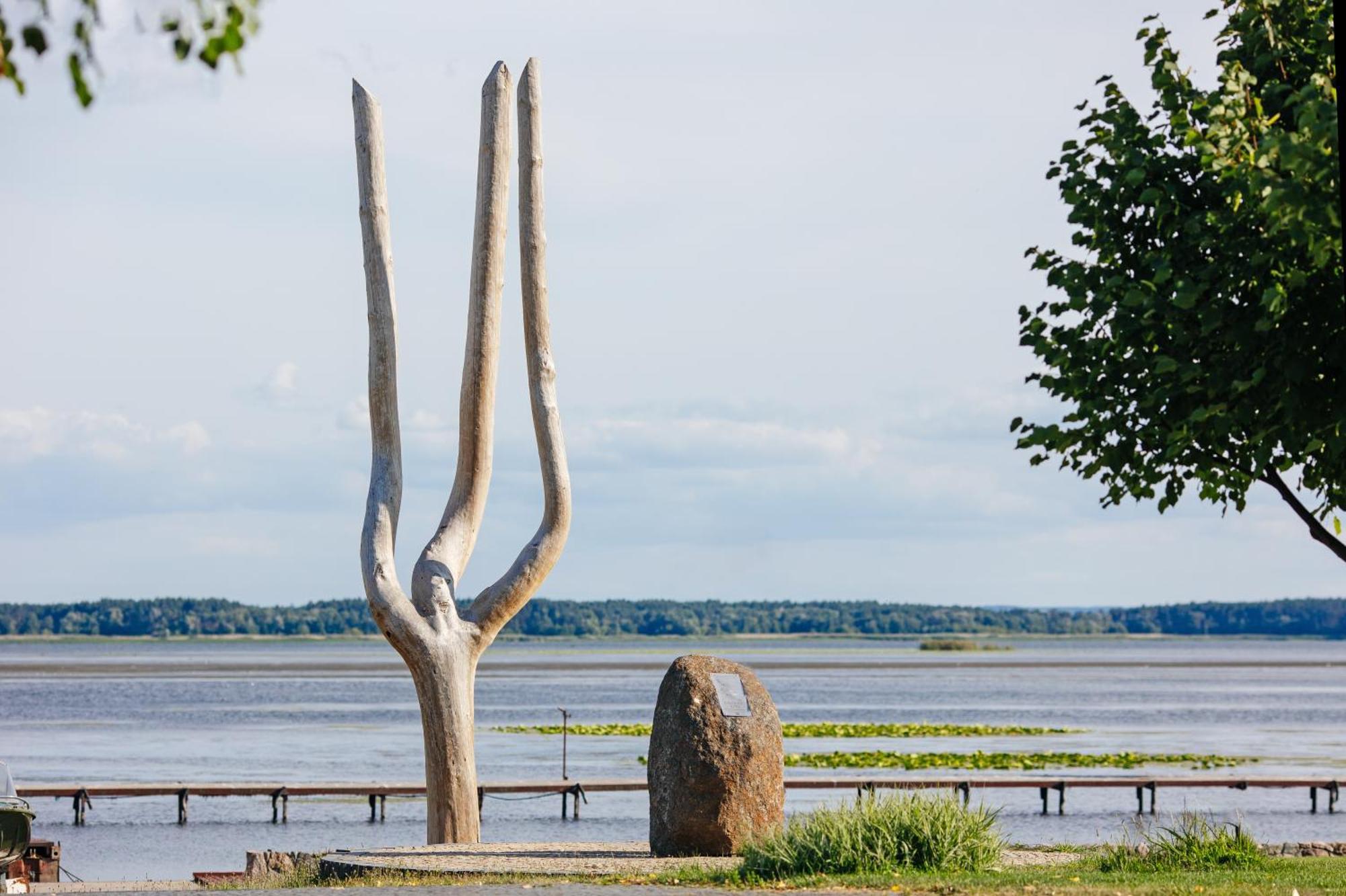 Bereg Holiday Park Svetlogorskoye 外观 照片
